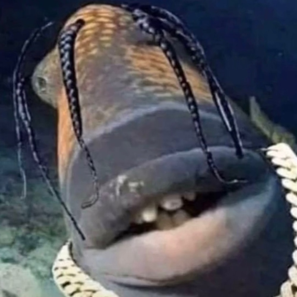 Meet your Posher, Jose